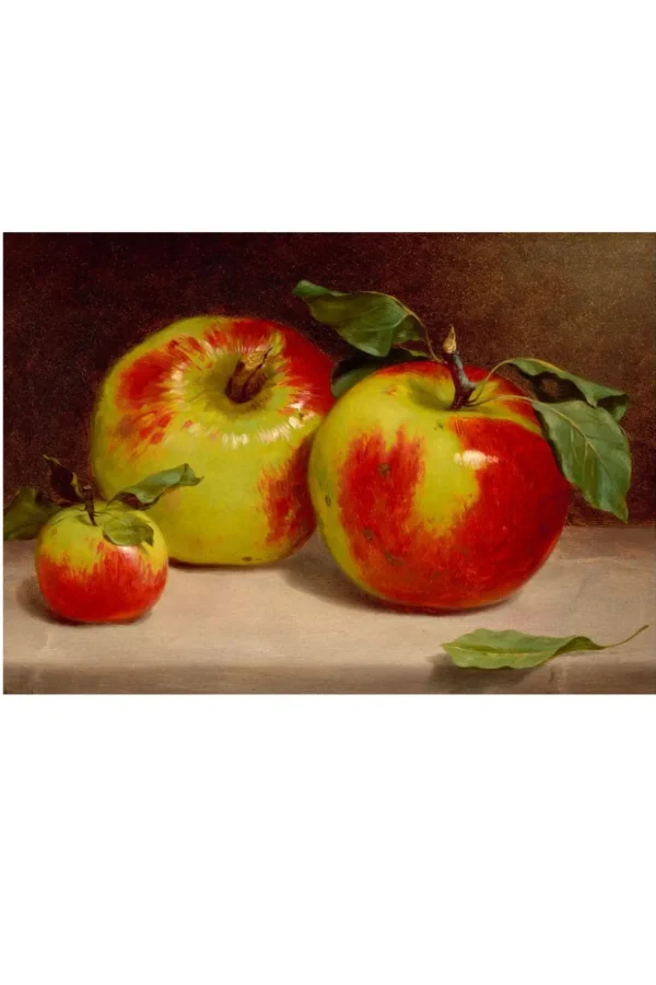Art Print - Study Of Apples
