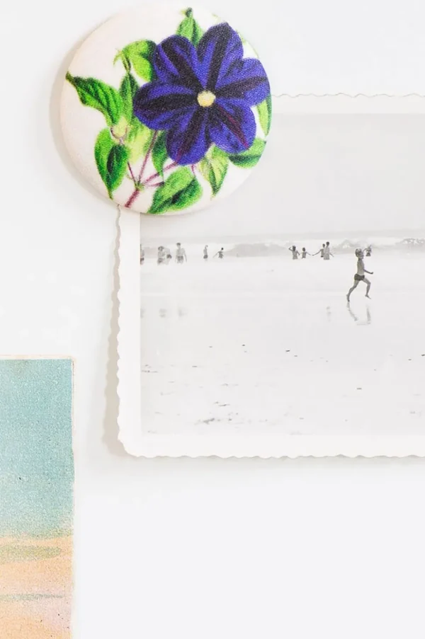 Morning Glory Magnet