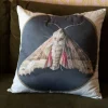 Moth Cushion Cover *Organic Cotton