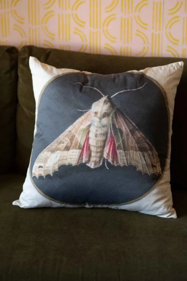 Moth Cushion Cover *Organic Cotton