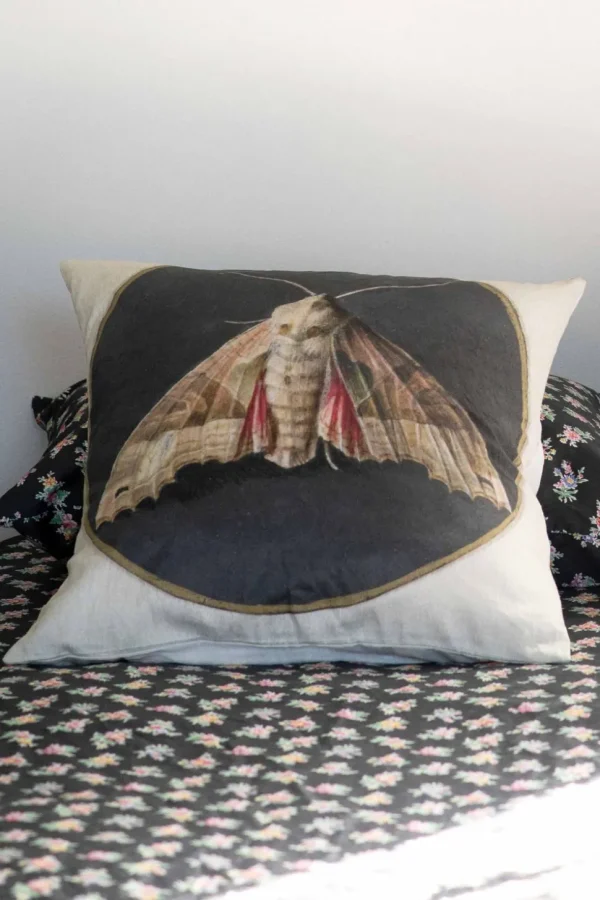 Moth Cushion Cover *Organic Cotton