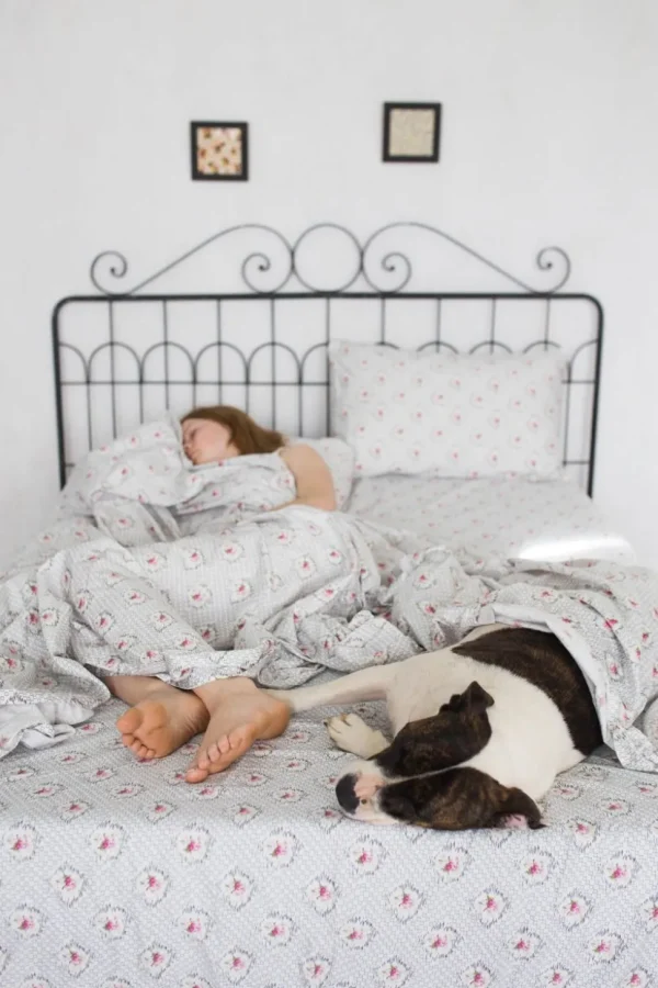 Sheet Set In Vienna *Organic Cotton