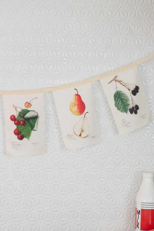 Vintage Fruit Garland