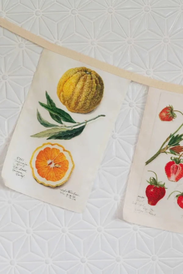 Vintage Fruit Garland